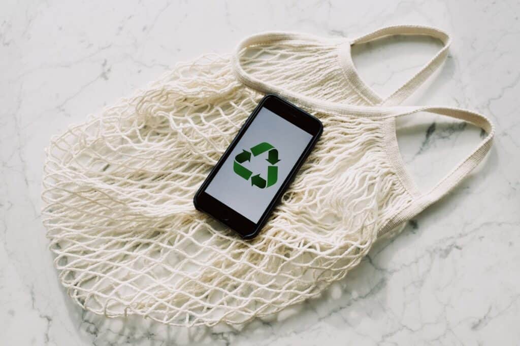 Bag with phone