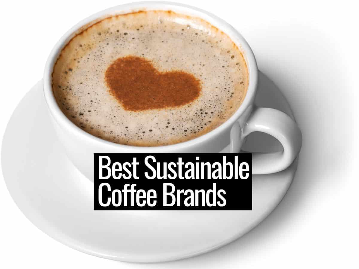 10 Best Ethical Sustainable Coffee Brands (2022)