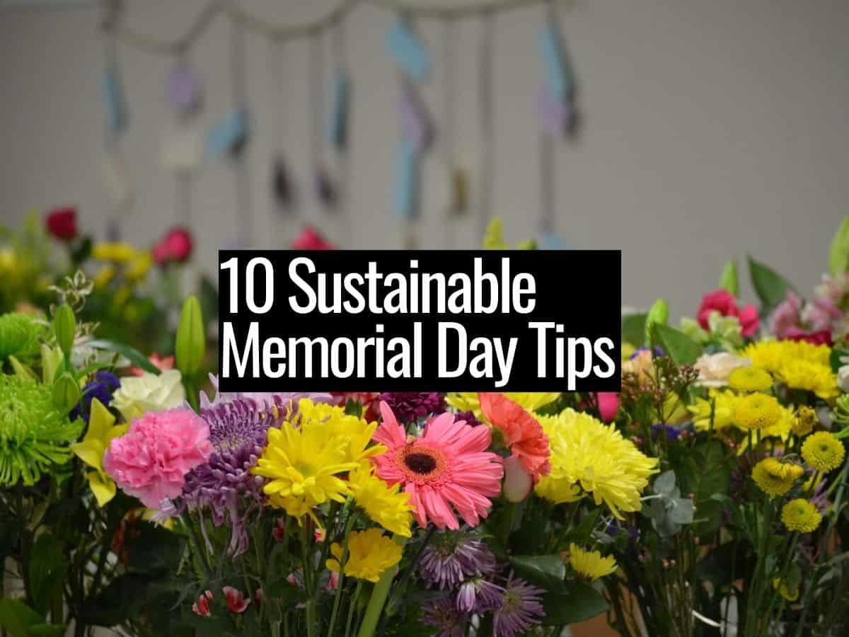 10 Sustainable Memorial Day Tips (2022)