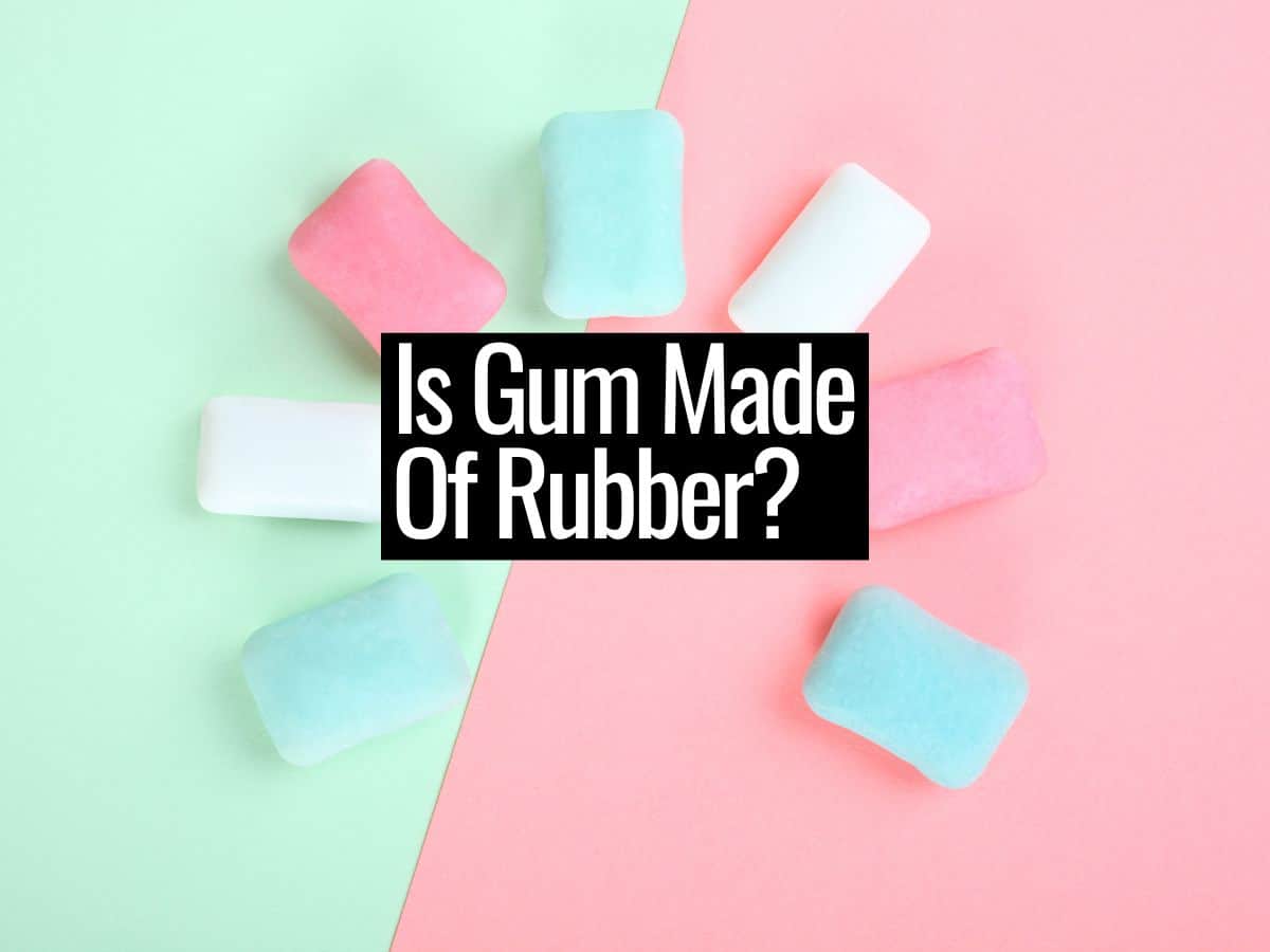 Is Gum Made of Rubber? Find Out What Gum is Made of