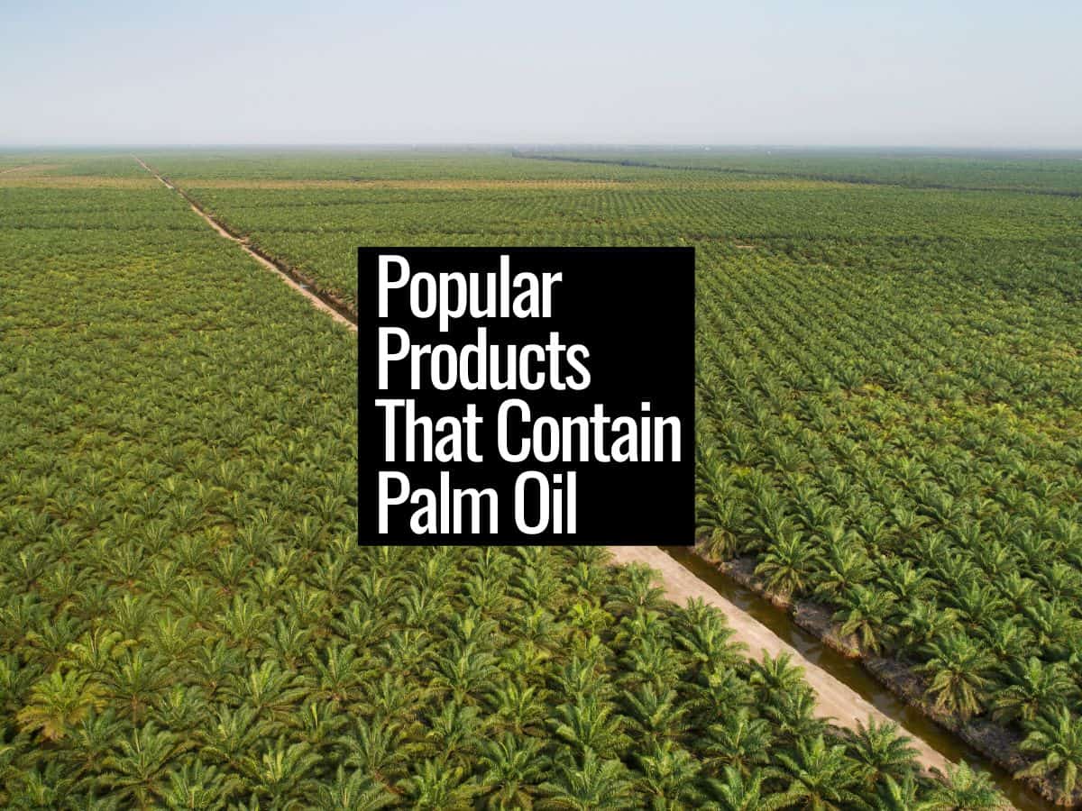 Popular Products That Contain Palm Oil