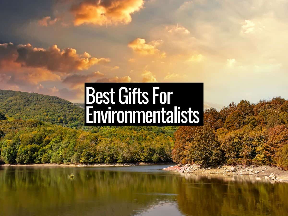 5 Best Gifts For Environmentalists (2022)